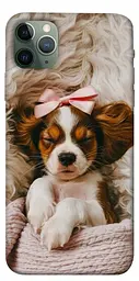 TPU чохол Demsky Sleepy spaniel для Apple iPhone 11 Pro Max (6.5")