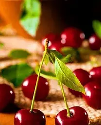 Саджанець Agro-Market Вишня Малятко (літній сорт, ранній термін дозрівання) (35795) 1 шт. в упаковці - мініатюра 2