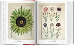 A Garden Eden. Masterpieces of Botanical Illustration. 40th Edition - мініатюра 3