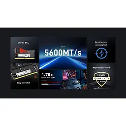 Модуль пам'яті Lexar DDR5 8GB 262 PIN 5600Mhz CL46 So-DIMM (LD5S08G56C46ST-BGS) - мініатюра 4