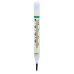 Термометр медичний Gamma Thermo Eco скляний рідинний без ртуті  - мініатюра 2