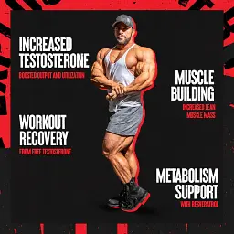 Бустер тестостерону Universal Nutrition Animal Test 21 пакетик - мініатюра 4