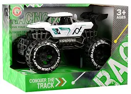 Іграшка CARS S Позашляховик-монстр двомісний (CJ-4527516) (7120466) - мініатюра 2