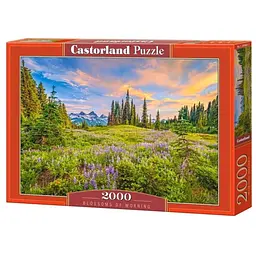Пазл Castorland Ранкові квіти 2000 ел. (C-200863)