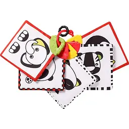 Розвиваючі картки BabyOno C-More (781)