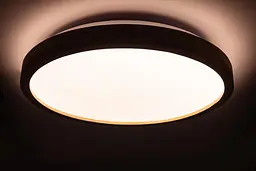 Стельовий світильник Wood матовий 60W 375 x 60 мм 3000К-6500К з ДК акація - мініатюра 5