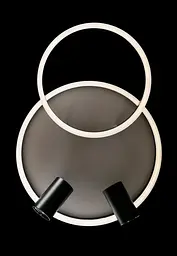 Люстра стельова LED Splendid Ray L2464/550/2+2, 4 лампи, білий/чорний, димер, сучасний стиль - мініатюра 9