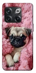 TPU чохол Demsky Мопс у ніжностях для OnePlus 10T