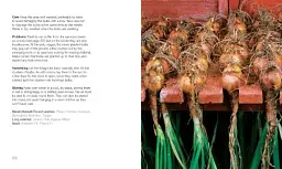 200 Veg-Growing Basics - мініатюра 3