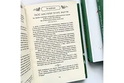 Рік духовної віднови. 365 днів молитви - Джон Елдредж - мініатюра 3