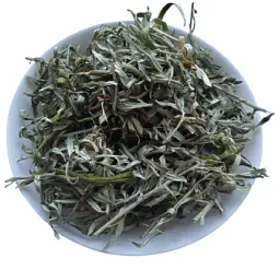 Обліпиха Листя Hippophae rhamnoides