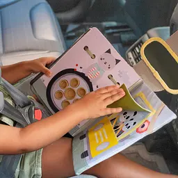 Розвиваючий центр для автомобіля Taf Toys Книжка мандрівника (13825) - мініатюра 10