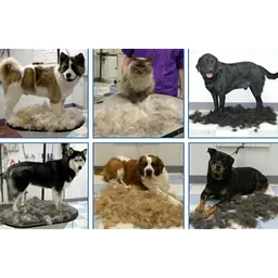 Фурмінатор з кнопкою для маленьких довгошерстих собак FURminator short Hair Small Dog 4.5 см - мініатюра 2