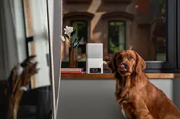 Інтерактивна HD-камера Petcube Bites 2 Lite - мініатюра 4