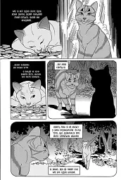 Коти - вояки. Манґа 7. Тигрозір і Саша. Повернення до Кланів - мініатюра 6