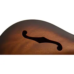 Електрогітара PRS SE Hollowbody Standard McCarty Tobacco Sunburst (162708) - мініатюра 7