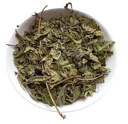 Топінамбур Листя Соняшник бульбистий Helianthus tuberosus - мініатюра 1