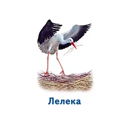 Настільна гра Парочки: Світ тварин 1392003, 6 ігор - мініатюра 6