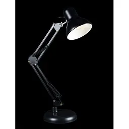 Настільні лампи Splendid-Ray lighting Splendid-Ray 30-3862-00 - мініатюра 2