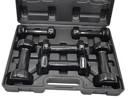 Набір гантелей в кейсі 9 кг. PowerPlay 4121 Fitness Dumbells (2 шт*1 кг, 2 шт*1,5 кг, 2 шт*2 кг) (PP_4121_9kg) - мініатюра 2