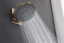 Верхній душ Hansgrohe Pulsify S 260 1jet EcoSmart brushed bronze 24141140 - мініатюра 2