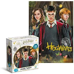 Пазли DODO 250ел. Medium-S Harry Potter. Гаррі та друзі