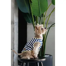 Майка Pet Fashion Tropic для собак S - мініатюра 8