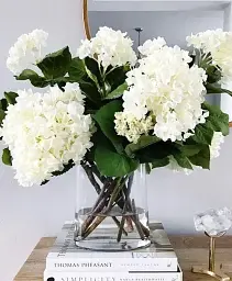 Гортензія Agro-Market Bright White крупнолиста біла 1 саджанець в упаковці (44818) - мініатюра 5