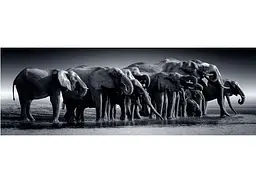 Пазл Clementoni High Quality Collection: Стадо гігантів (High Quality Collection - Herd of Giants Panorama Puzzle - 1000 pcs.), 1000 ел. (панорама) (39895) - мініатюра 2