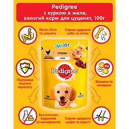 Корм для цуценят Pedigree Junior з куркою та рисом в желе 100 г - мініатюра 5