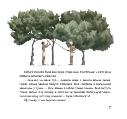 Кісточка оливи - мініатюра 11