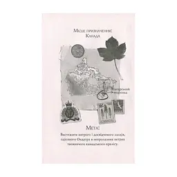 Книга Агата Містері. Крадіжка на Ніагарському водоспаді. Книга 4 - Сер Стів Стівенсон Видавництво РМ (9786178639556) - мініатюра 4