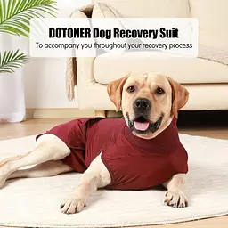 Гігієнічні труси/комбінезон для собак WanTalk Full Body Dog Diaper, Wine Red, L - мініатюра 4