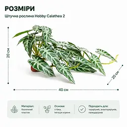 Штучна рослина Hobby Calathea 2 40x20 см (37715) для тераріуму, акватераріуму та палюдаріуму - мініатюра 2