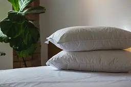 Подушка Ecotton 70х70 см Ecofill Premium антиалергенна з кантом біопух біла в чохлі для зберігання White (25510) - мініатюра 4