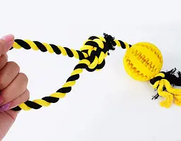 Іграшка для собак Derby Rubber Dog Chew Toy with Rope - мініатюра 2