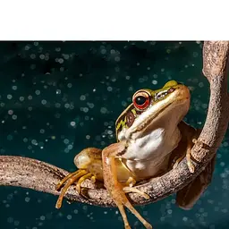 Ліана гнучка з листям для тераріуму Repti-Zoo Bend-A-Branch Vine 150см (RV0415) - мініатюра 11
