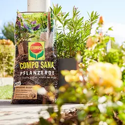 Торфосуміш для усіх видів хвойних рослин COMPO SANA® 40 л - мініатюра 11