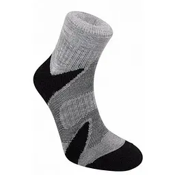 Шкарпетки Bridgedale Coolfusion Multisport S Silver/Black (1053-610527.852.S)