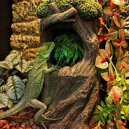 Фонтан поїлка Repti-Zoo Tree Waterfall (DF13) для рептилій та амфібій 1000 мл - мініатюра 3