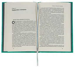 Культурний код. Секрети успішної взаємодії в команді - мініатюра 4