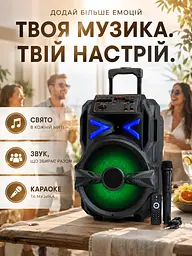 Портативна колонка валіза 12″ PMPO 3000 Вт з мікрофоном, пультом і LED чорна (49676162) - мініатюра 9