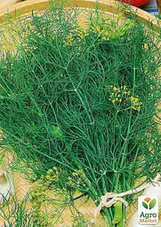 Насіння Agro-Market Кріп Атлант на вагу ціна за 20 г (177356) - мініатюра 2
