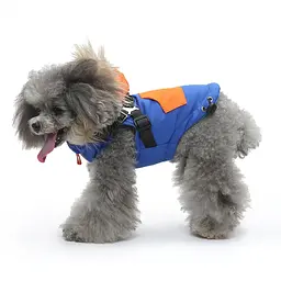 Зимовий жилет для собак з капюшоном та хутром Derby Blue/Orange, S Синій/помаранчевий - мініатюра 3