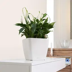 Вазон Lechuza Quadro Premium LS, 9 л, білий (16140) - мініатюра 7