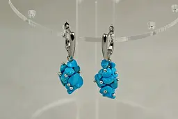 Сережки No Name підвіски гроно говліт 4 см сріблясті