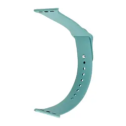 Ремінець Silicone Apple Watch 38/40/41 мм Сactus L