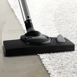 Порохотяг миючий BOSCH BWD421PET - мініатюра 9