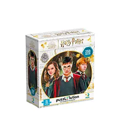 Пазл Medium-S "Harry Potter. Гарі та друзі" 250 елементів 200498 DoDo, в коробці (4823115908612)