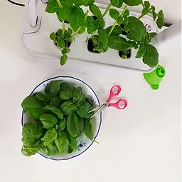 Гідропонна система Abis Flowerpot - мініатюра 4